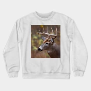 White-tailed Deer Crewneck Sweatshirt